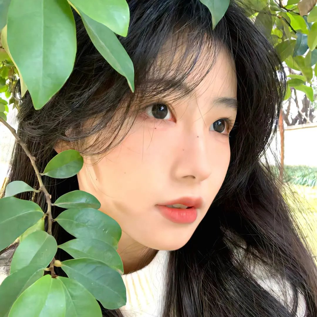 鲱云
