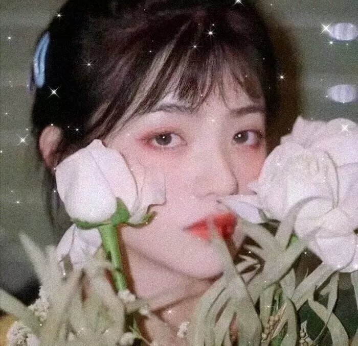 锦绣南歌