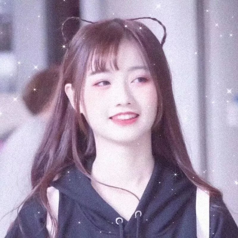 贝壳收藏家