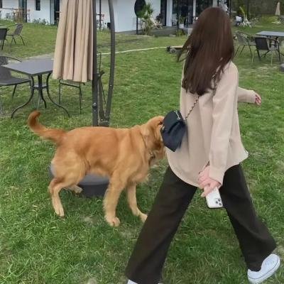 症状